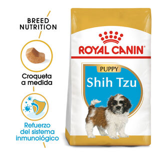 Royal Canin Puppy Shih Tzu pienso para perros